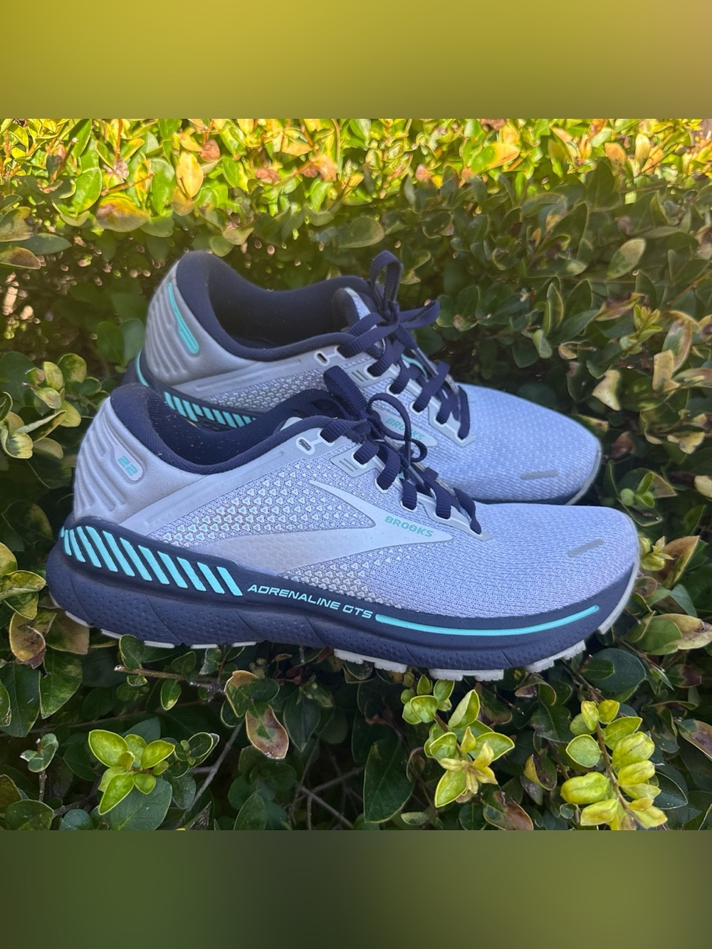 Brooks Adrenaline 22 GTS Women’s Running Shoes